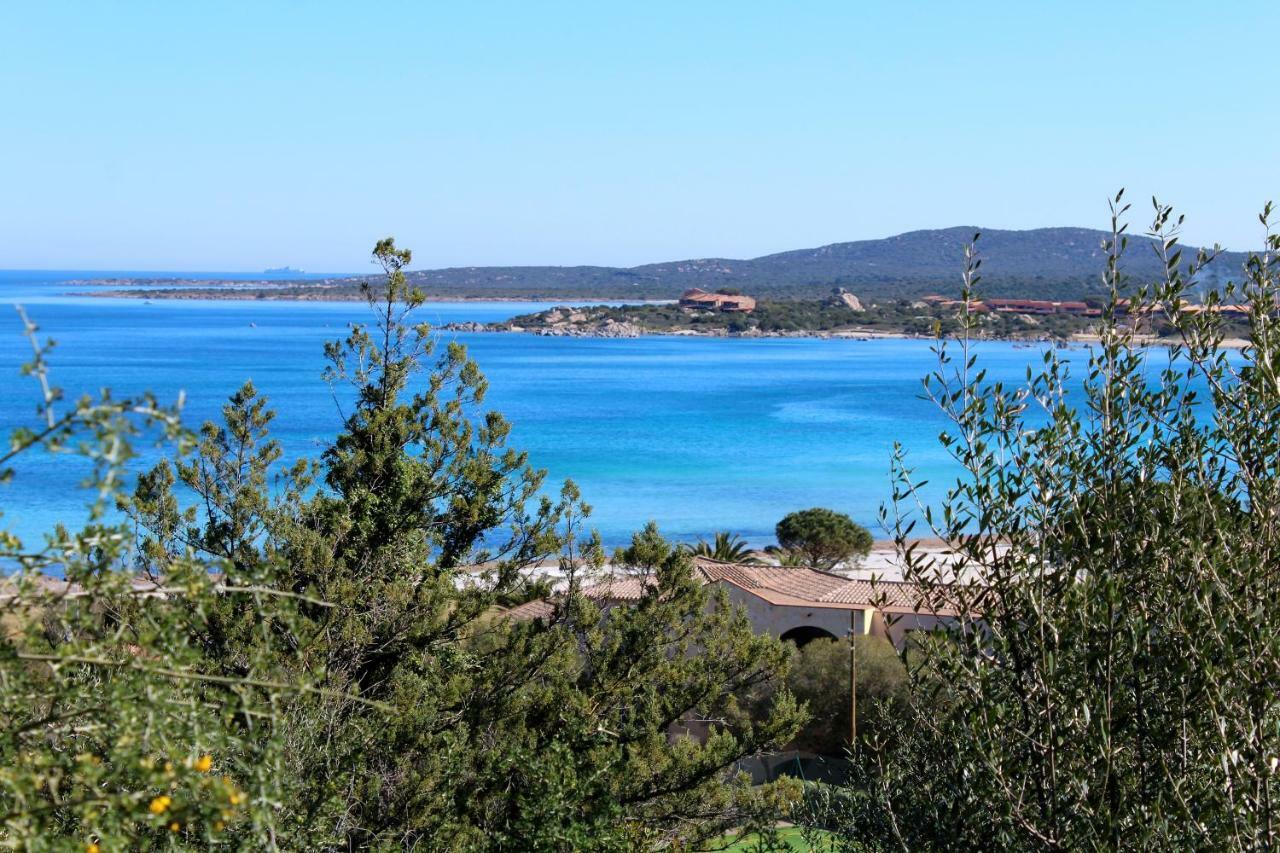 Casa Vacanze Il Cisto - Golfo Di Marinella Porto Rotondo Exterior foto