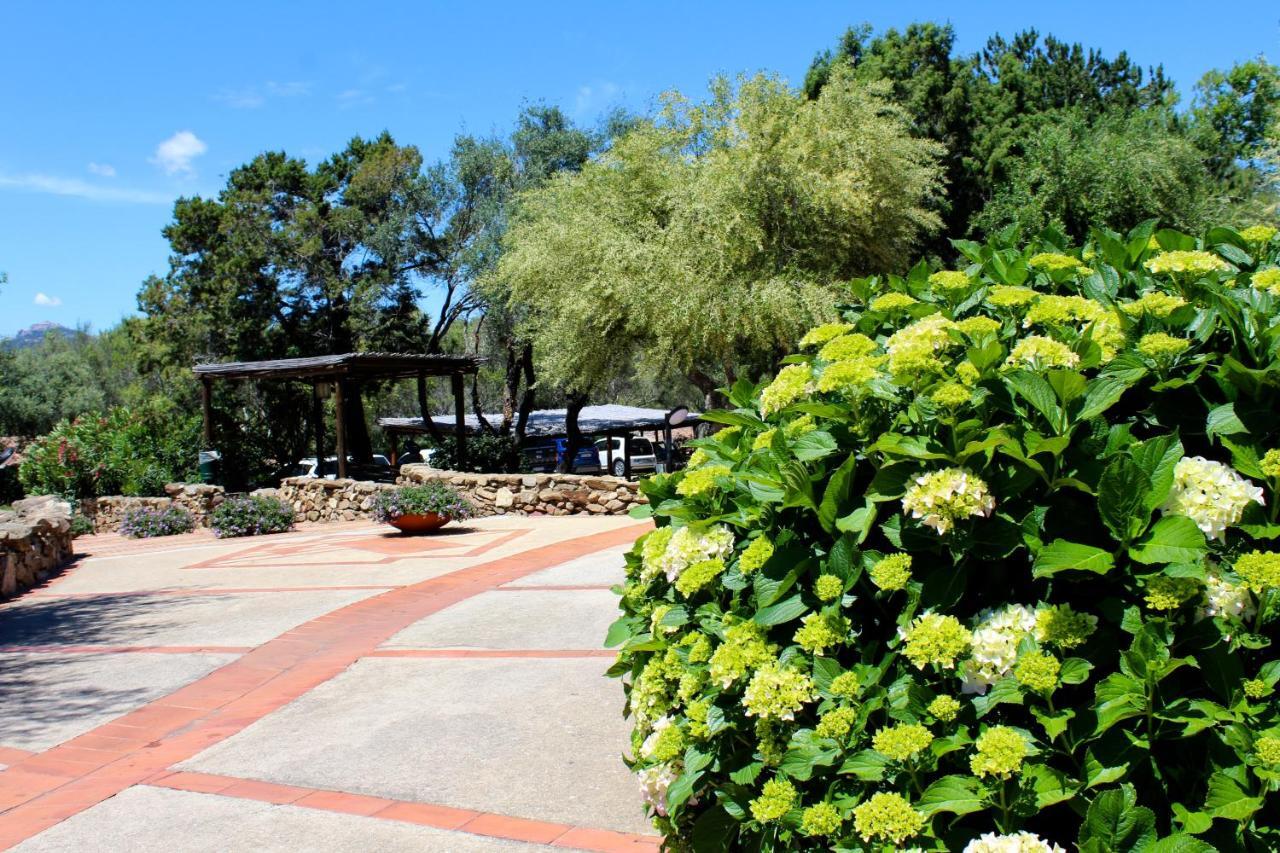 Casa Vacanze Il Cisto - Golfo Di Marinella Porto Rotondo Exterior foto